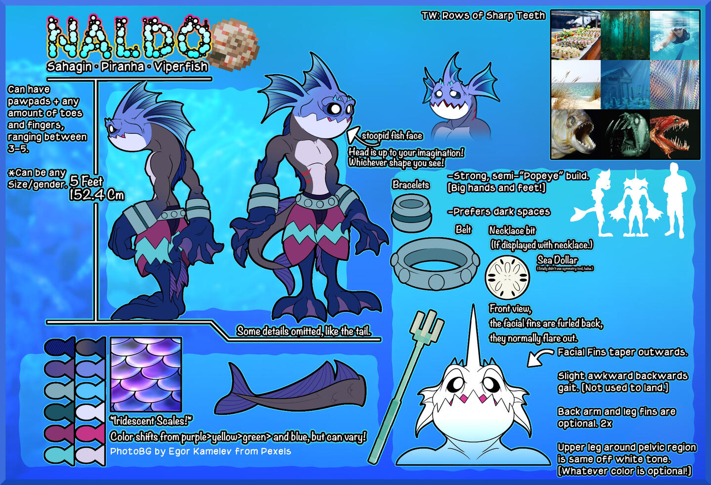 NaldoSahagin Full+Half Comm Sheet